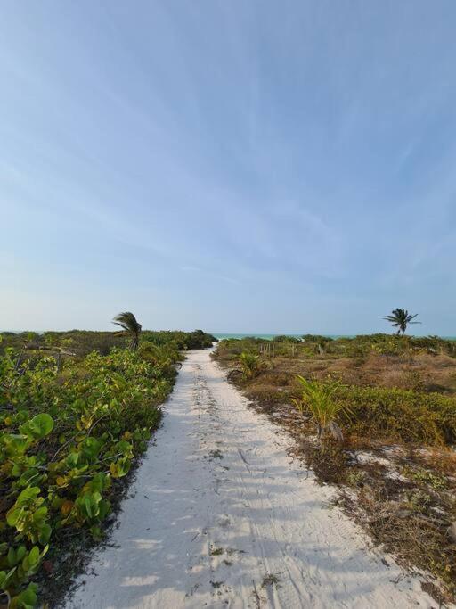Casa Perla Marina, Pequena Casa Frente A La Playa. Leilighet El Cuyo Eksteriør bilde