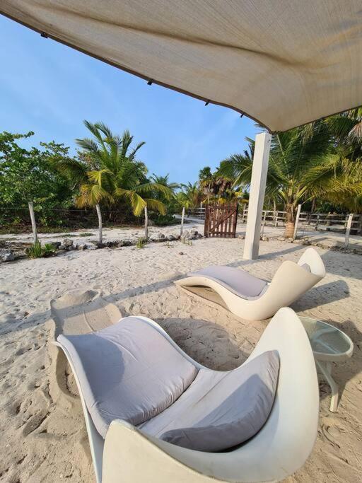 Casa Perla Marina, Pequena Casa Frente A La Playa. Leilighet El Cuyo Eksteriør bilde