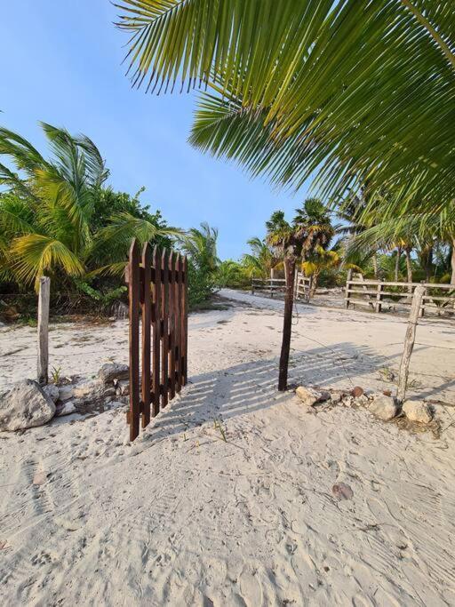 Casa Perla Marina, Pequena Casa Frente A La Playa. Leilighet El Cuyo Eksteriør bilde